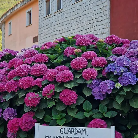 Hotel Orlando Sardegna 4*