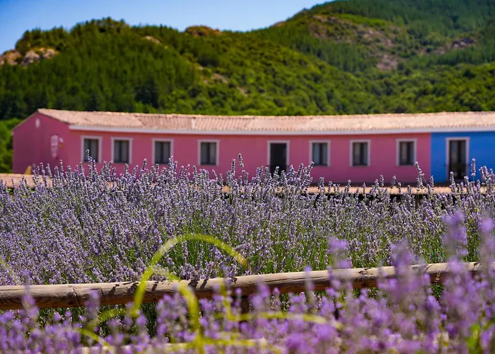 Hotel Orlando Sardegna 4*