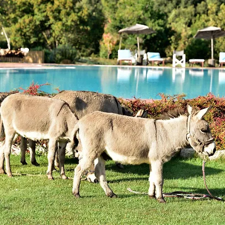Eco Orlando Sardegna