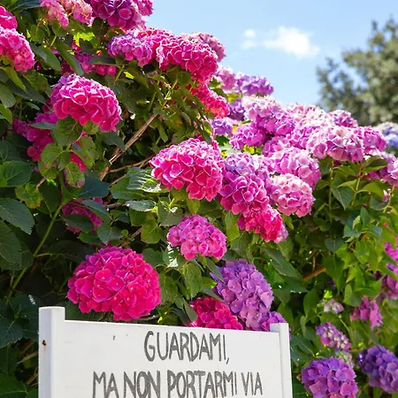 Eco Orlando Sardegna 4*