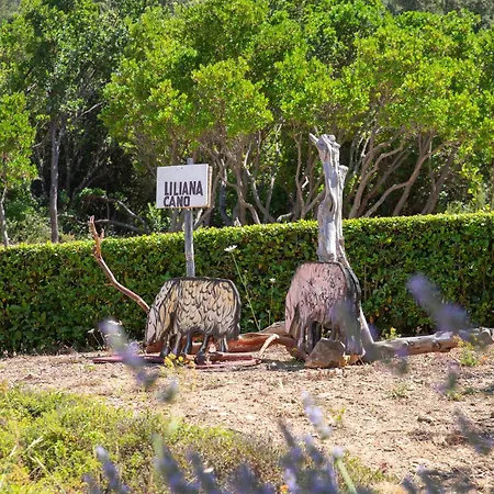 Eco Orlando Sardegna Hotel