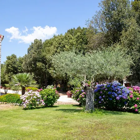 Eco Orlando Sardegna Hotel Villagrande Strisaili