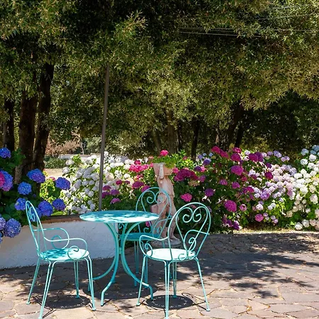 Eco Orlando Sardegna