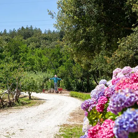 Eco Orlando Sardegna Hotel
